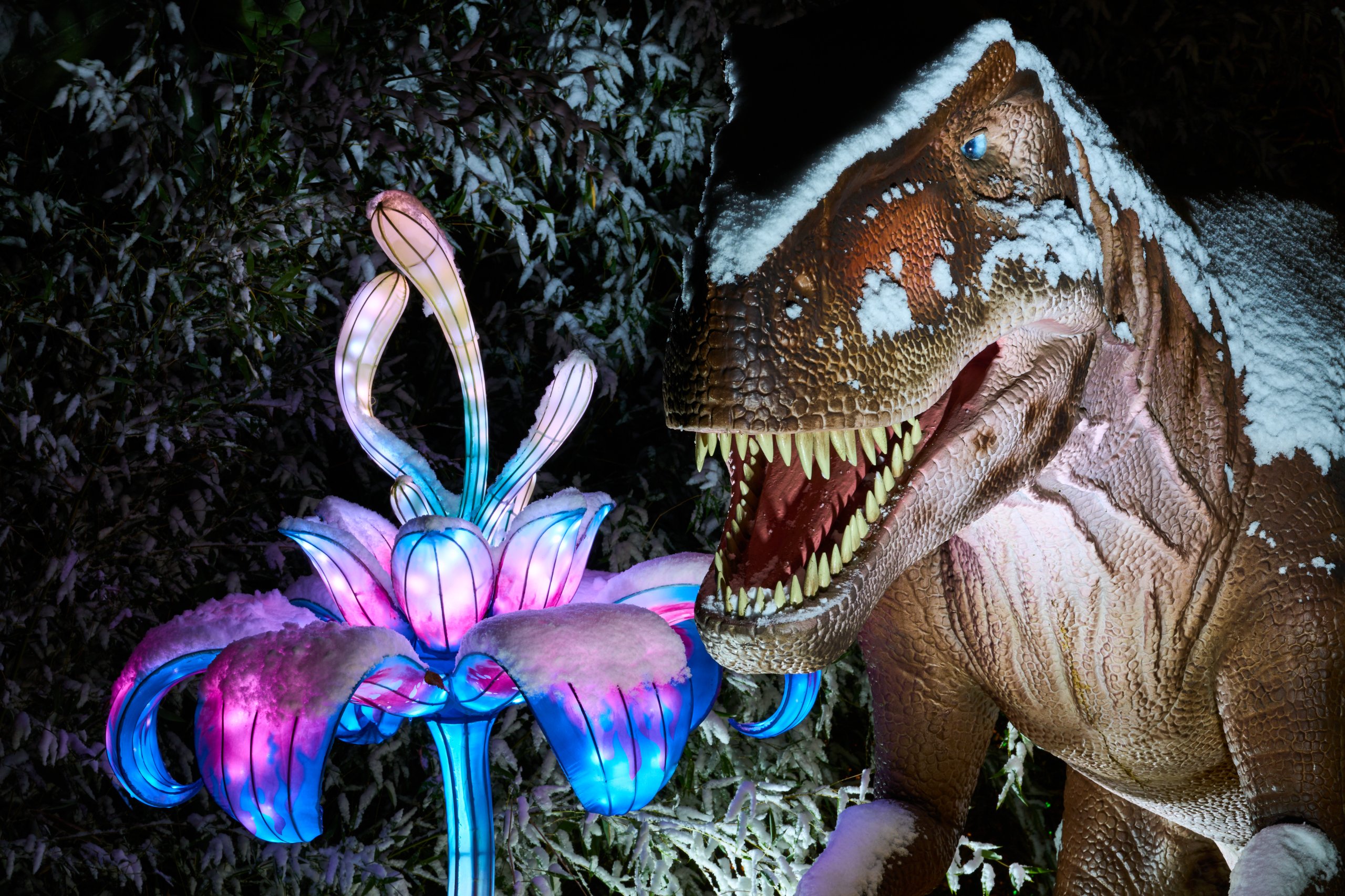 2026 01 05 China Lights 0097